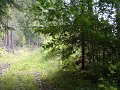 011 Singletrail bei Fischbach